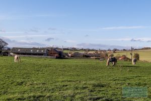 Photo 34- click for photo gallery